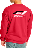 BUZO SACO CREWNECK FORMULA 1 MOTOR SPORT RACING 2024