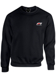 BUZO SACO CREWNECK FORMULA 1 MOTOR SPORT RACING 2024