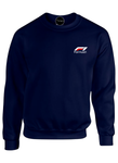 BUZO SACO CREWNECK FORMULA 1 MOTOR SPORT RACING 2024