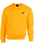 BUZO SACO CREWNECK FORMULA 1 MOTOR SPORT RACING 2024