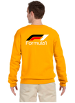 BUZO SACO CREWNECK FORMULA 1 MOTOR SPORT RACING 2024