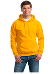 BUZO HOODIE CAPOTA BASICO UNISEX