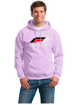 BUZO HOODIE CAPOTA FORMULA 1 GRAND PRIX SPORT