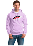 BUZO HOODIE CAPOTA FORMULA 1 GRAND PRIX SPORT