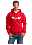 BUZO HOODIE CAPOTA UFC ULTIMATE FIGTH CHAMPION SPORT