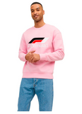 BUZO SACO CREWNECK FORMULA 1 MOTOR SPORT RACING