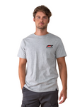 CAMISETA REMERA FORMULA 1 GRAND PRIX MOTOR SPORT