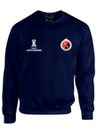 BUZO SACO CREWNECK DEPORTIVO CUCUTA COPA LIBERTADORES