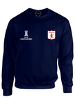 BUZO SACO CREWNECK DEPORTIVO AMERICA DE CALI COPA LIBERTADORES