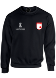 BUZO SACO CREWNECK DEPORTIVO INDEPENDIENTE SANTA FE COPA LIBERTADORES