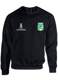 buzo hoodie crewneck deportivo atletico nacional copa libertadores