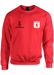 BUZO SACO CREWNECK DEPORTIVO AMERICA DE CALI COPA LIBERTADORES