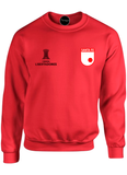 BUZO SACO CREWNECK DEPORTIVO INDEPENDIENTE SANTA FE COPA LIBERTADORES