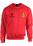 BUZO SACO CREWNECK DEPORTIVO DEPORTES TOLIMA COPA LIBERTADORES