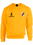 BUZO CREWNECK DEPORTIVO RIVER PLATE COPA LIBERTADORES