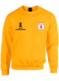 BUZO SACO CREWNECK DEPORTIVO AMERICA DE CALI COPA LIBERTADORES