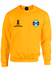 BUZO SACO CREWNECK DEPORTIVO GREMIO BRASIL COPA LIBERTADORES