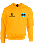 BUZO SACO CREWNECK DEPORTIVO GREMIO BRASIL COPA LIBERTADORES