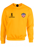 BUZO SACO CREWNECK DEPORTIVO JUNIOR COPA LIBERTADORES