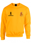 BUZO SACO CREWNECK DEPORTIVO DEPORTES TOLIMA COPA LIBERTADORES