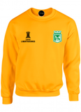 buzo hoodie crewneck deportivo atletico nacional copa libertadores